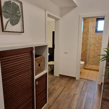 Apartment Roapart Mamaia - Cozy